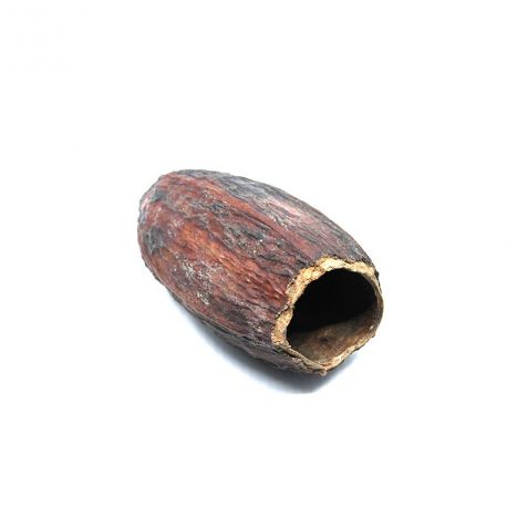 Cabosse sèche de cacao - Cachette idéale Cabosse sèche de cacao - Cachette idéale