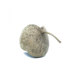 Noix de bouddha - Cachette, élément de décor, support Tillandsia etc...