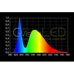 SpectraBULB 20w GreenVisuaLED 