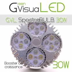 SpectraBULB 30w GreenVisuaLED 