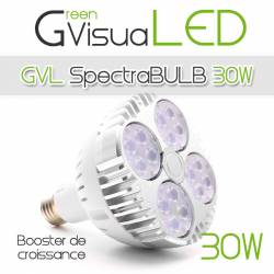 SpectraBULB 30w GreenVisuaLED 