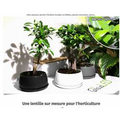 SpectraBULB 20w GreenVisuaLED 